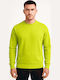 Hanorac Light Green