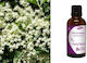 Nature & Body Tinktur Holunderbeere 50ml Minze