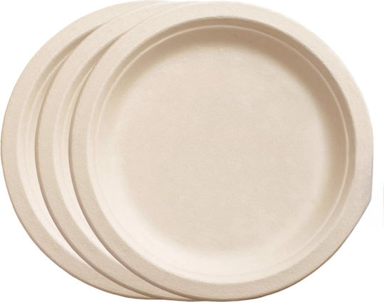 Einwegteller aus Papier Grill Kuchenplatte Eco 25 cm 10 Stück