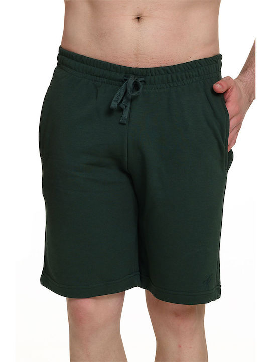 Target Men's Shorts Cypress Green