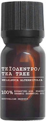 Freya Skin Care Αιθέριο Έλαιο Tea Tree 10ml Freya Skin Care Αιθέριο Έλαιο Tea Tree 10ml