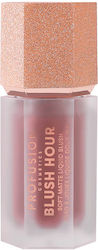 Profusion Cosmetics Liquid Ρουζ Berry Gin & Tonic 6ml Profusion Cosmetics Liquid Ρουζ Berry Gin & Tonic 6ml
