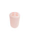 21650 Zahnbürstenhalterung Kunststoff Rosa