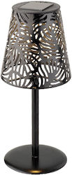 Kaemingk Tischplatte Solarleuchte 12cmx12cmx28....