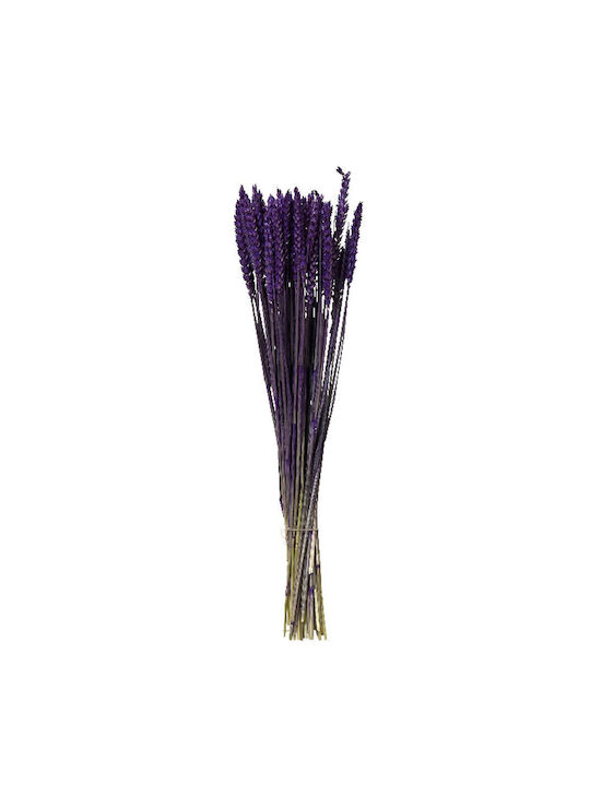 Dried Bouquet 55cm 14x14x55cm Purple Kaeming