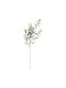 Αγγελικη Κλαδι Λευκα Ανθη Pittosporum 78cm Συνθετικο