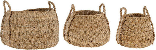 MSA Set Dekorative Körbe Korbweide Beigen 20x20cm 3Stücke