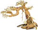 Aquadeco Aqua Bonsai S 15x20