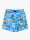 Quiksilver Everyday Kids Swimwear Swim Shorts Coronet Blue
