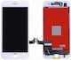 Screen with Touch Mechanism for iPhone 7 Plus (White)