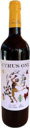 Cyrus One Κρασί Ερυθρό Ξηρό σε Ξυλοκιβώτιο 1500ml