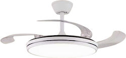 106cm Cu Lentile De Mărire Transparent / Alb 106cm Cu Lentile De Mărire Transparent / Alb