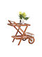 Wooden Garden & Terrace Table Alfred Natural 86x56x80cm