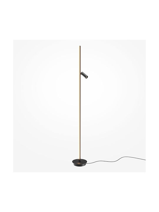 Maytoni Floor Lamp Black