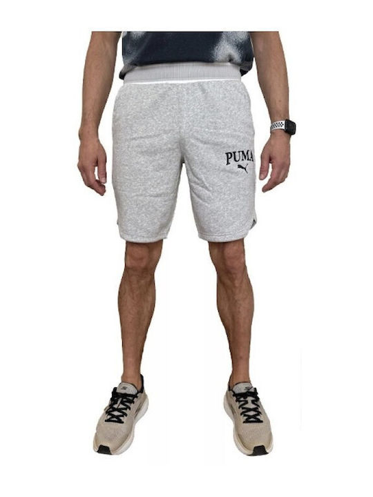PUMA Herrenshorts Gray