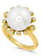 Antwnakakis Femeie Inel din Aur 14K