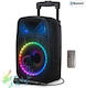 Party Karaoke Speaker with Wired Microphone and Lighting Effects Black
