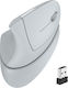 iClever TM254G Wireless Ergonomic Mouse Gray