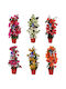 Βουκαμβίλια Bougainvillea Dania Bamboo Piramide Colour Mixed