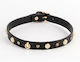 Ns Novelties Halsband in Schwarz Farbe