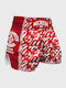 Wicked1 Shorts Kick/Thai-Boxen Rot