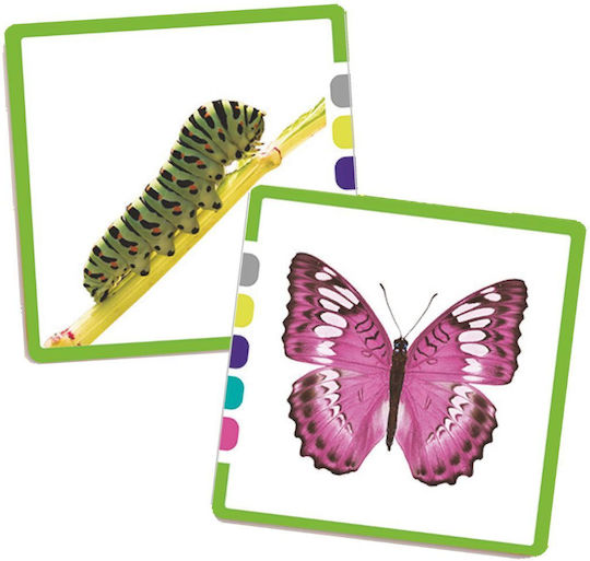 Akros Educational Game 68 Matching Cards Images 3-8 Years 20530