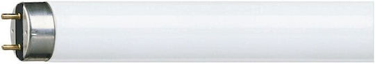 T8 Röhrenleuchtstofflampe 36W/840 G13 984m