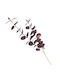 Ramură de Eucalipt Floare Artificială 80cm Mov