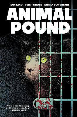 Animal Pound Tom King 0508 Vol. 508