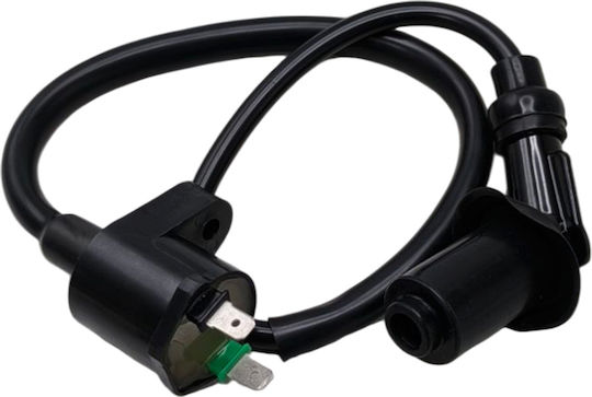 Ignition Coil Kymco Agility 50 125 Sym Symphony 50 125 Gy 50 125