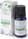 Stamford London Essential Oil 10ml
