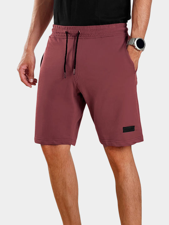3Guys Men's Shorts Berry