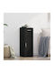 Cabinet de depozitare L30xW42.5xH93buc