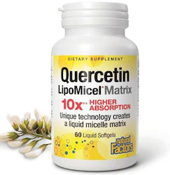 Natural Factors Quercetin Lipomicel Matrix 60 μαλακές κάψουλες Natural Factors Quercetin Lipomicel Matrix 60 μαλακές κάψουλες