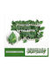 Artificial Foliage in Trellis 20x40cm