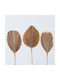 Zweig 3/ass Dekoratives Recyceltes Papier Braun Bekir H72,00 cm