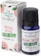 Regal Rose 10ml Stamford Premium