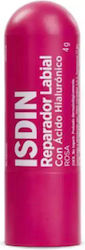 Isdin Repairer