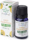 Stamford London Ätherisches Öl Weihrauch 10ml