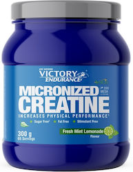 Weider Micronized Creatine Monohydrate Mint Lemonade 300gr Weider Micronized Creatine Monohydrate Mint Lemonade 300gr
