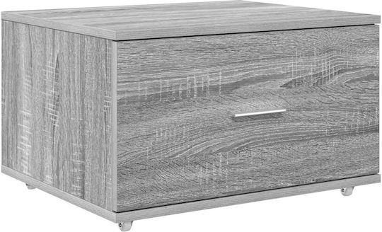Cabinet de depozitare L55xW45xH33.5buc