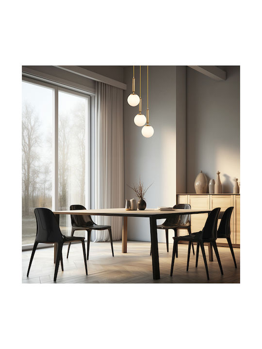 Braytron Pendant Light Gold with Socket G9