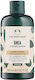 The Body Shop Shea Conditioner 250ml