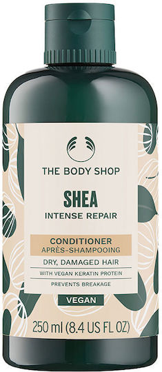 The Body Shop Shea Conditioner 250ml