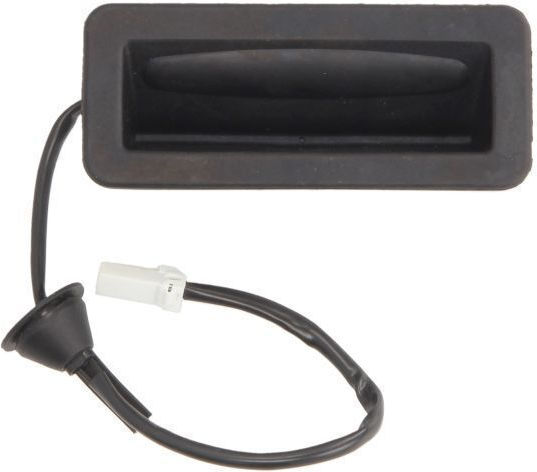 Türgriff mit Platzierung Kofferraum Citroen DS Ford C-Max / Focus / Fokus C-Max R2061