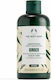 The Body Shop Ginger Conditioner für Alle Haartypen 250ml