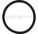 Lid Seal Frm Flat Section Pack 6
