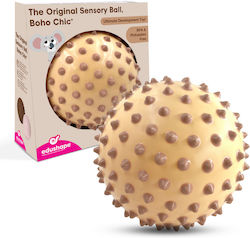 Edushape Sensorikball 18 cm cremefarben E705172cr Spielzeug