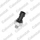 Oil Valve Alfa Romeo Mito-Fiat Freemont-Panda-Lancia Yp OS3592-215