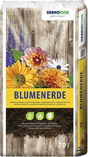 Gramoflor Bluemenerde Φυτόχωμα Γενικής Χρήσης 70lt